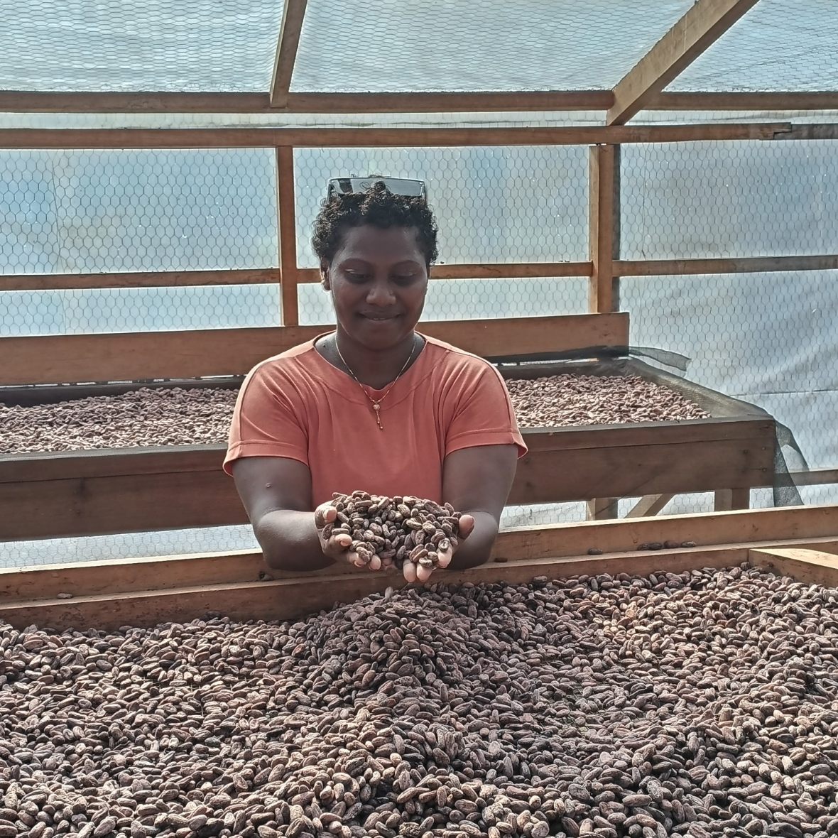 The Purist - Solomon Islands
